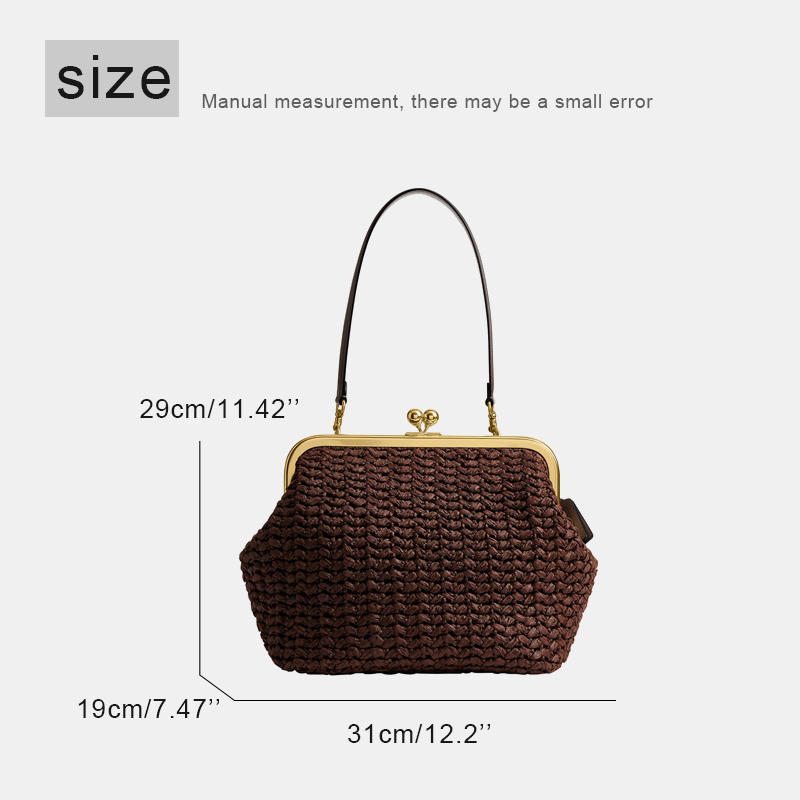 Hand-Woven Kisslock Frame Shou - огляд і ціна Luxury Bags Of 2026