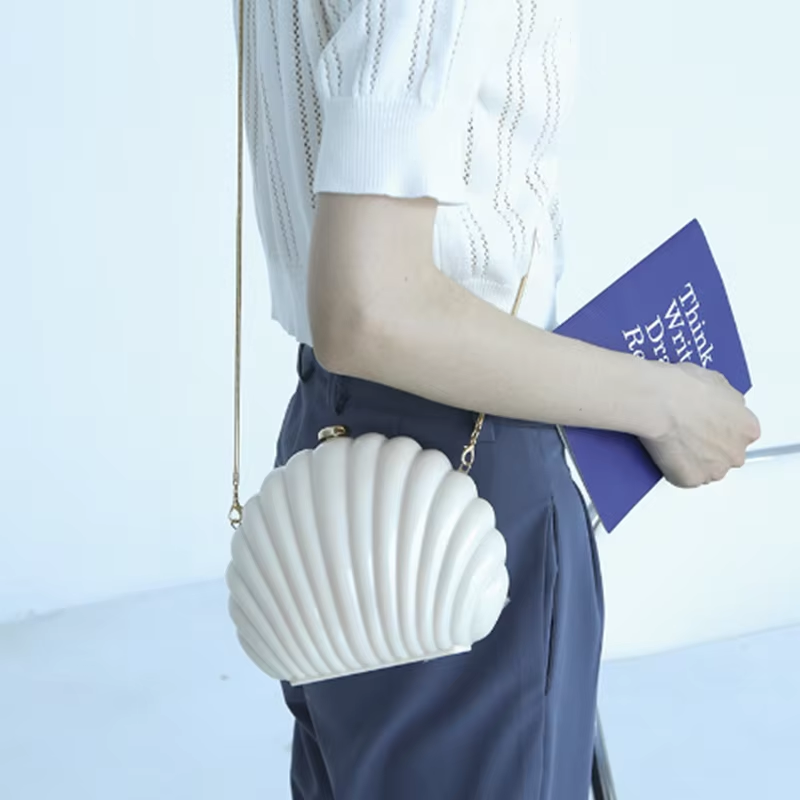 Lady Mini Shell Bag Acrylic Hi - огляд і ціна Luxury Bags Cute