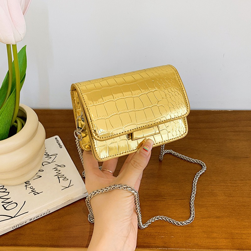 Women Vintage Chain Silver Chi - огляд і ціна Luxury Bags Cute